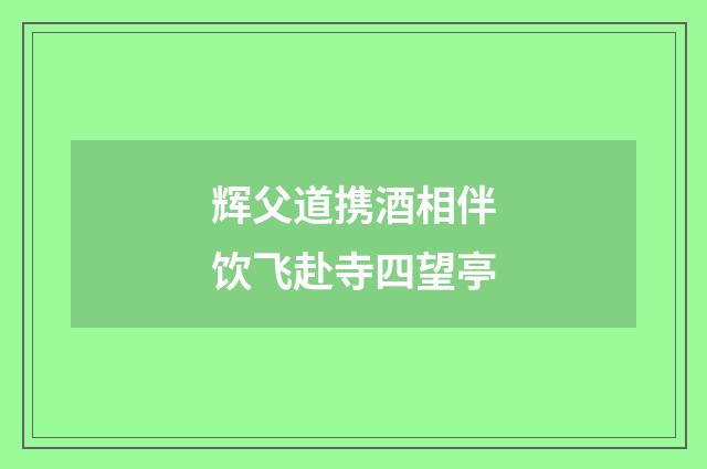 辉父道携酒相伴饮飞赴寺四望亭