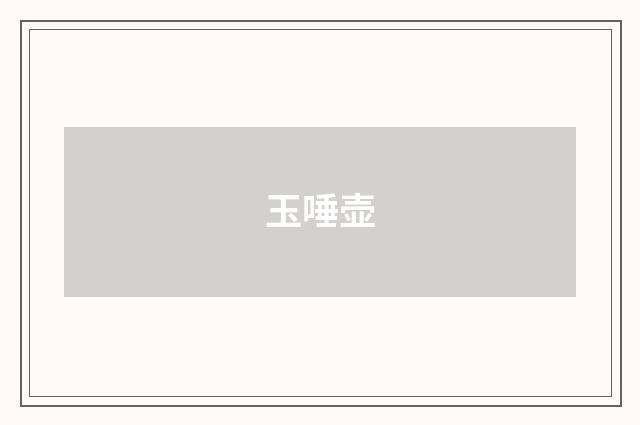 玉唾壶