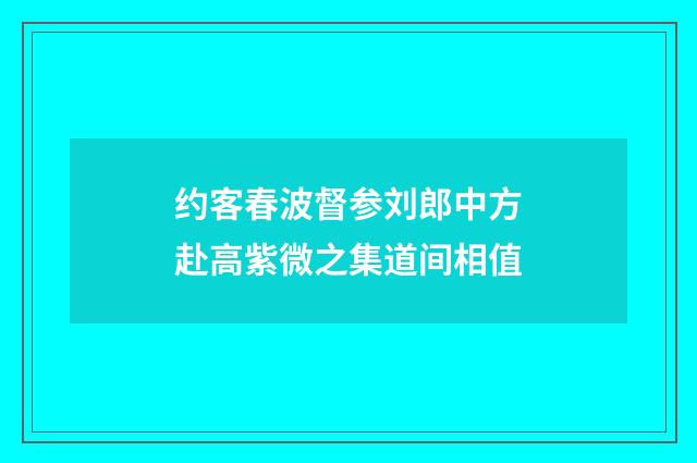 约客春波督参刘郎中方赴高紫微之集道间相值