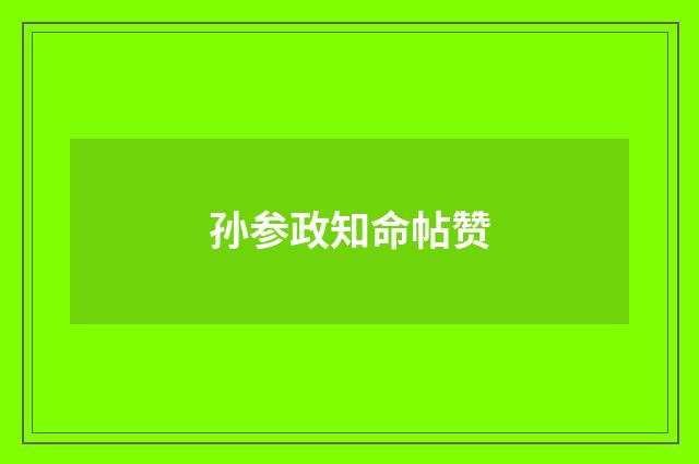 孙参政知命帖赞