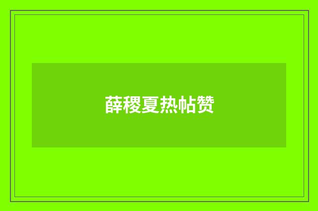 薛稷夏热帖赞