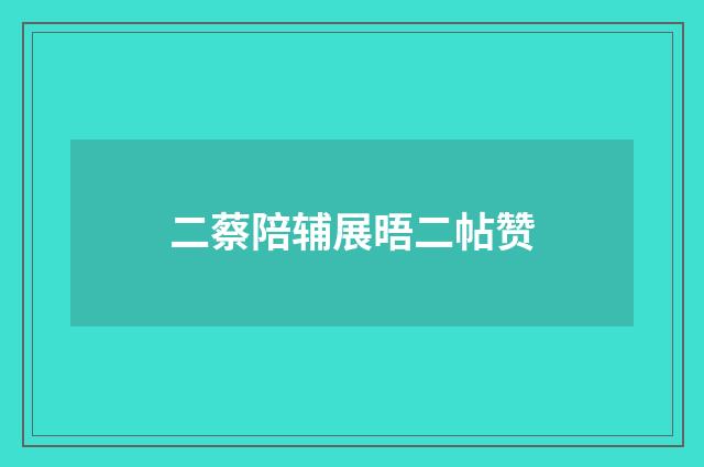 二蔡陪辅展晤二帖赞