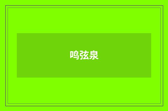 鸣弦泉