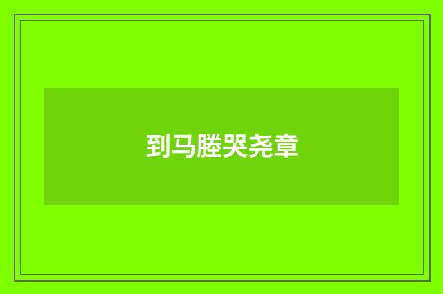 到马塍哭尧章