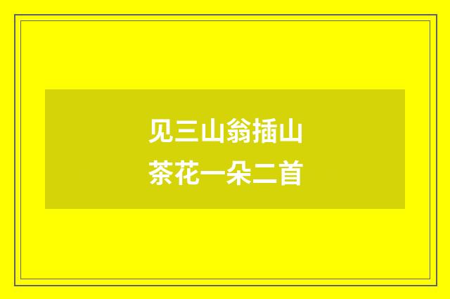 见三山翁插山茶花一朵二首
