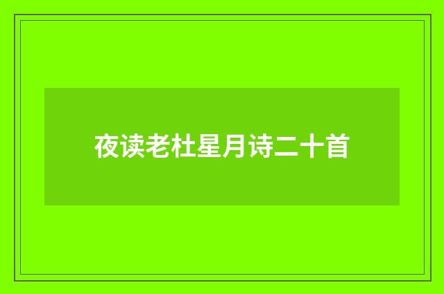 夜读老杜星月诗二十首