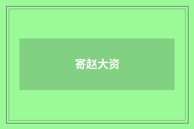 寄赵大资