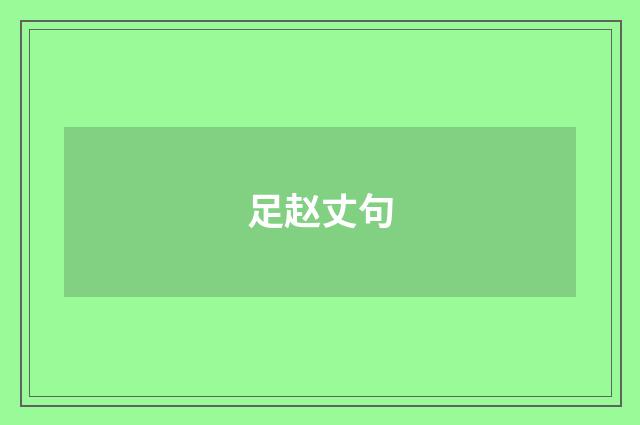 足赵丈句