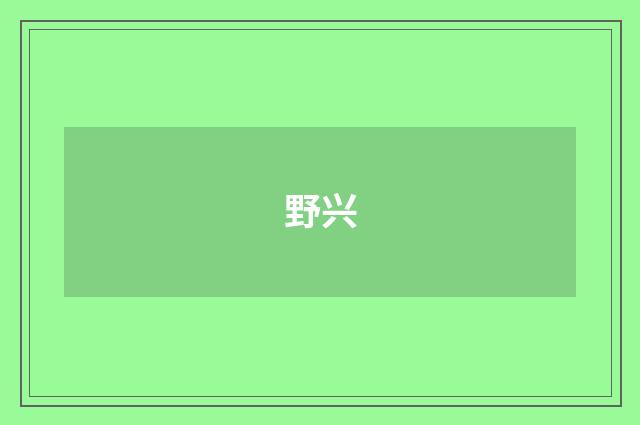 野兴