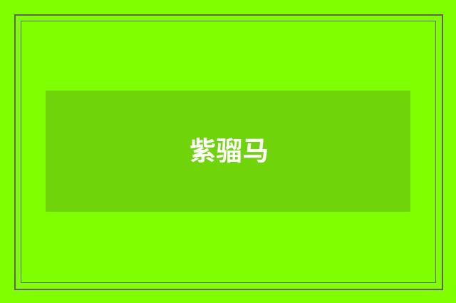 紫骝马