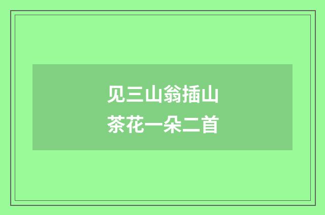 见三山翁插山茶花一朵二首