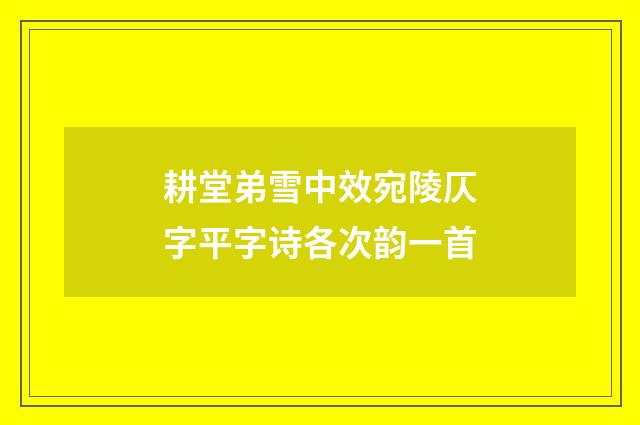 耕堂弟雪中效宛陵仄字平字诗各次韵一首