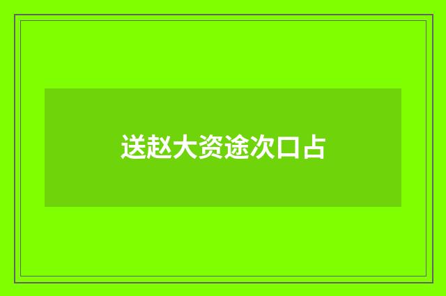 送赵大资途次口占