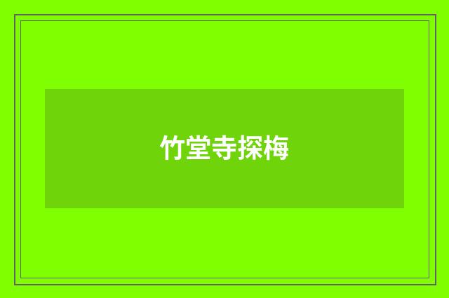 竹堂寺探梅