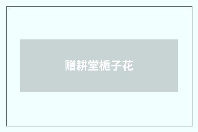 赠耕堂栀子花