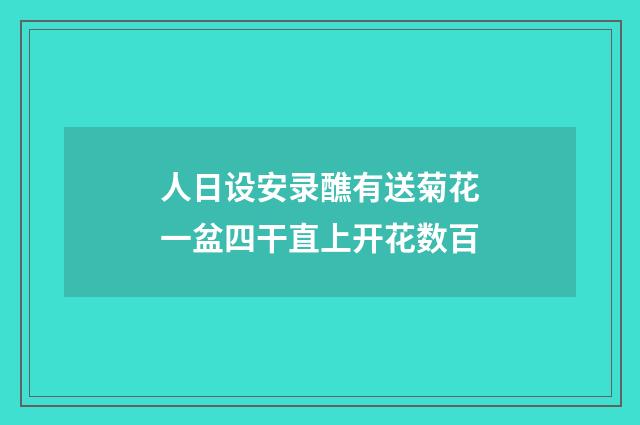 人日设安录醮有送菊花一盆四干直上开花数百