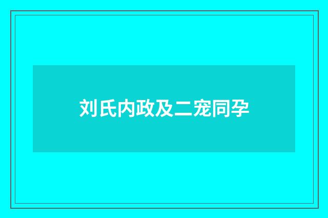 刘氏内政及二宠同孕