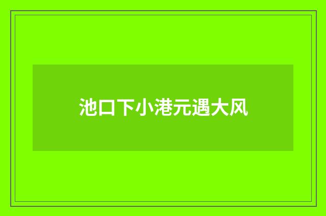池口下小港元遇大风