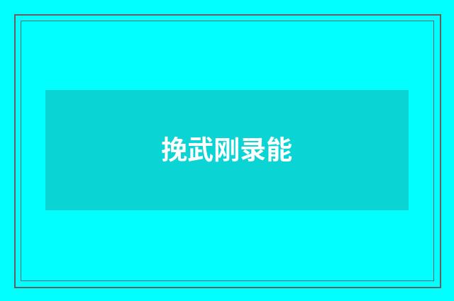 挽武刚录能
