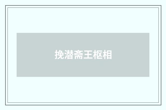挽潜斋王枢相
