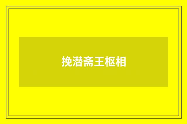 挽潜斋王枢相