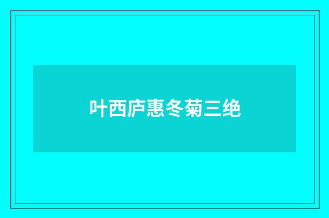 叶西庐惠冬菊三绝