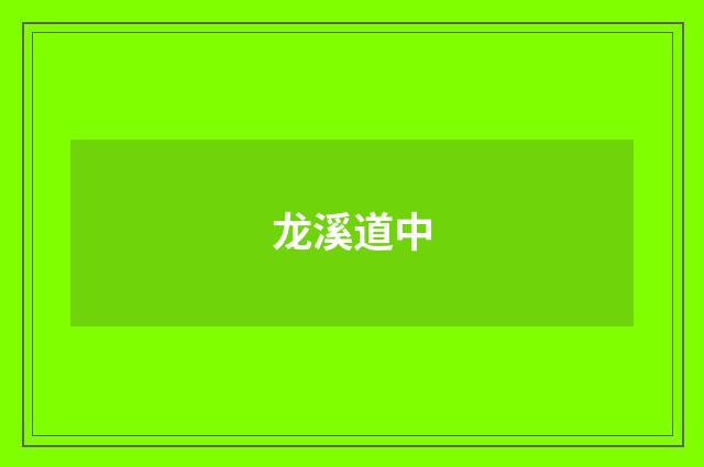 龙溪道中