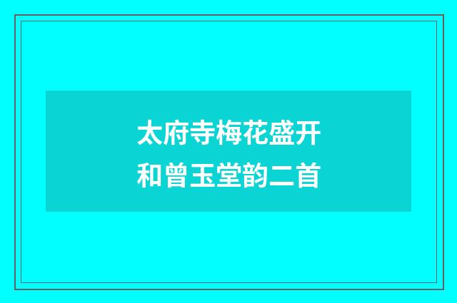太府寺梅花盛开和曾玉堂韵二首