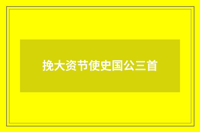 挽大资节使史国公三首