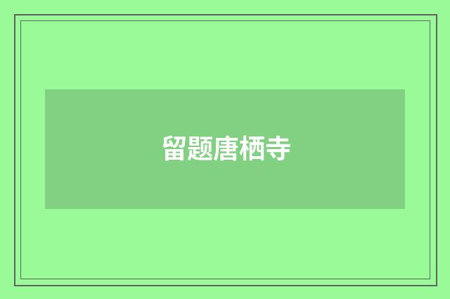 留题唐栖寺