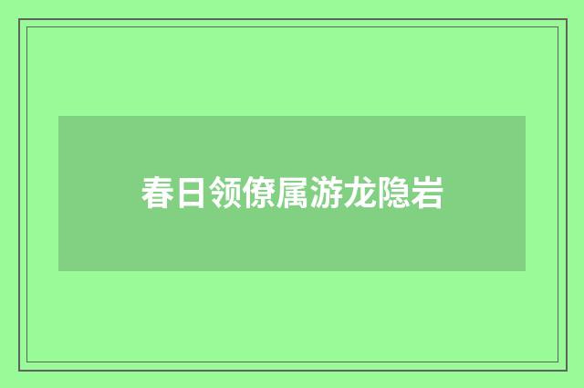 春日领僚属游龙隐岩