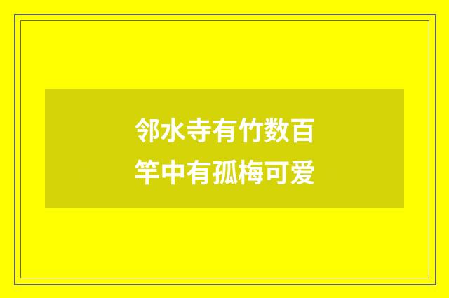 邻水寺有竹数百竿中有孤梅可爱