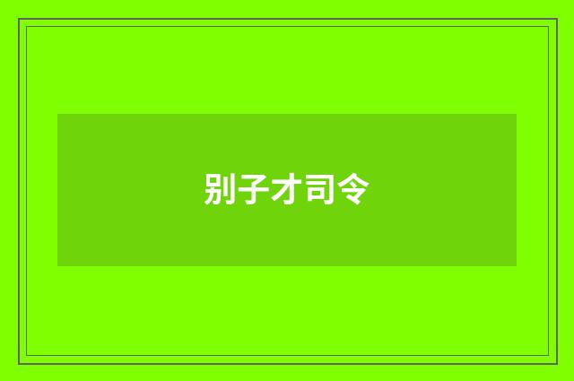 别子才司令