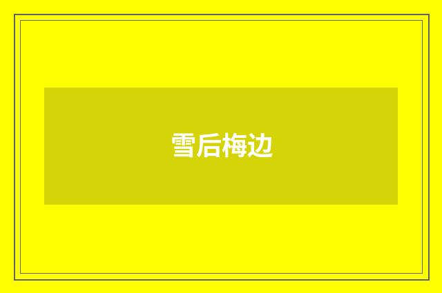 雪后梅边