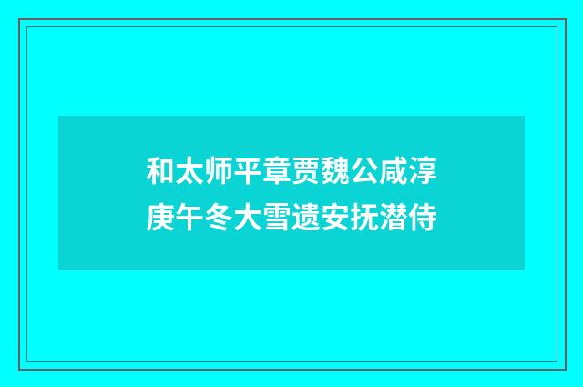 和太师平章贾魏公咸淳庚午冬大雪遗安抚潜侍