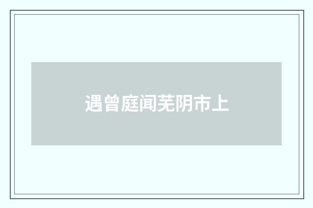 遇曾庭闻芜阴市上
