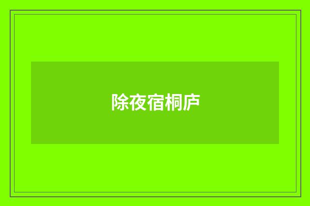 除夜宿桐庐