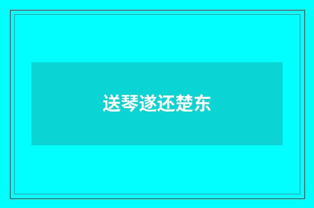送琴遂还楚东