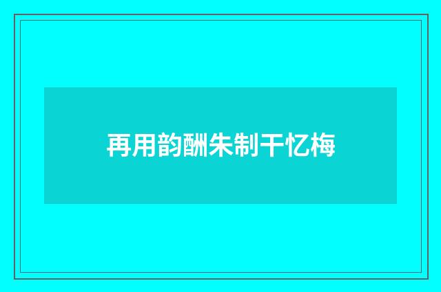 再用韵酬朱制干忆梅