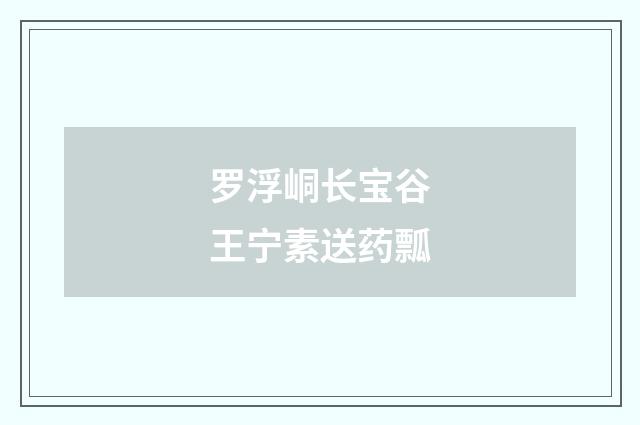 罗浮峒长宝谷王宁素送药瓢