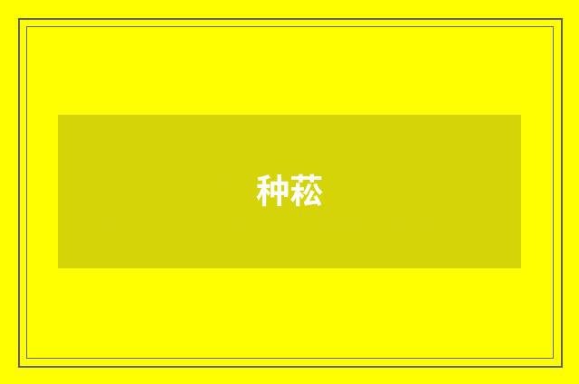 种菘
