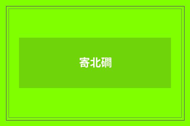 寄北磵