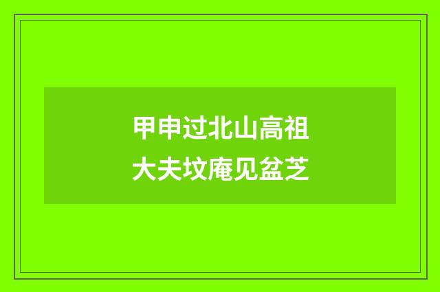 甲申过北山高祖大夫坟庵见盆芝