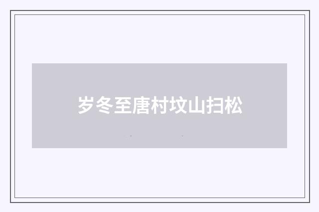 岁冬至唐村坟山扫松