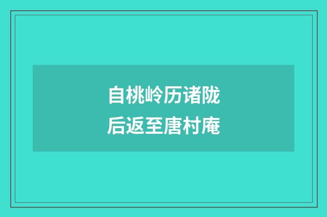 自桃岭历诸陇后返至唐村庵