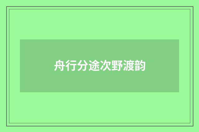 舟行分途次野渡韵
