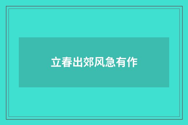 立春出郊风急有作