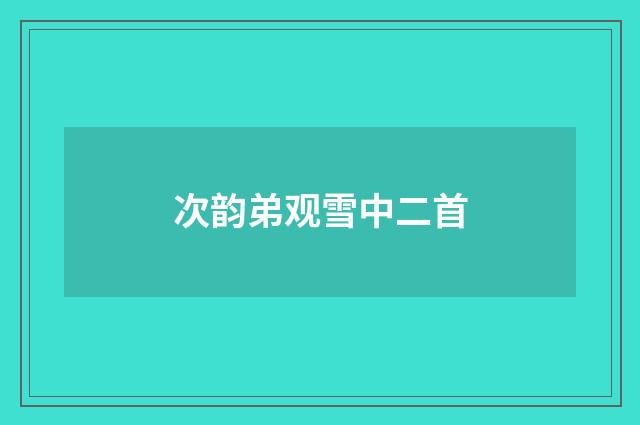 次韵弟观雪中二首
