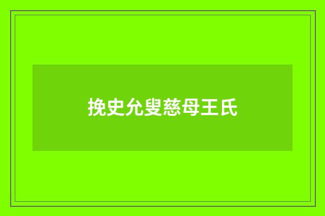 挽史允叟慈母王氏