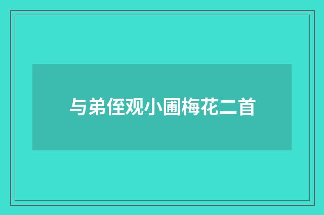 与弟侄观小圃梅花二首